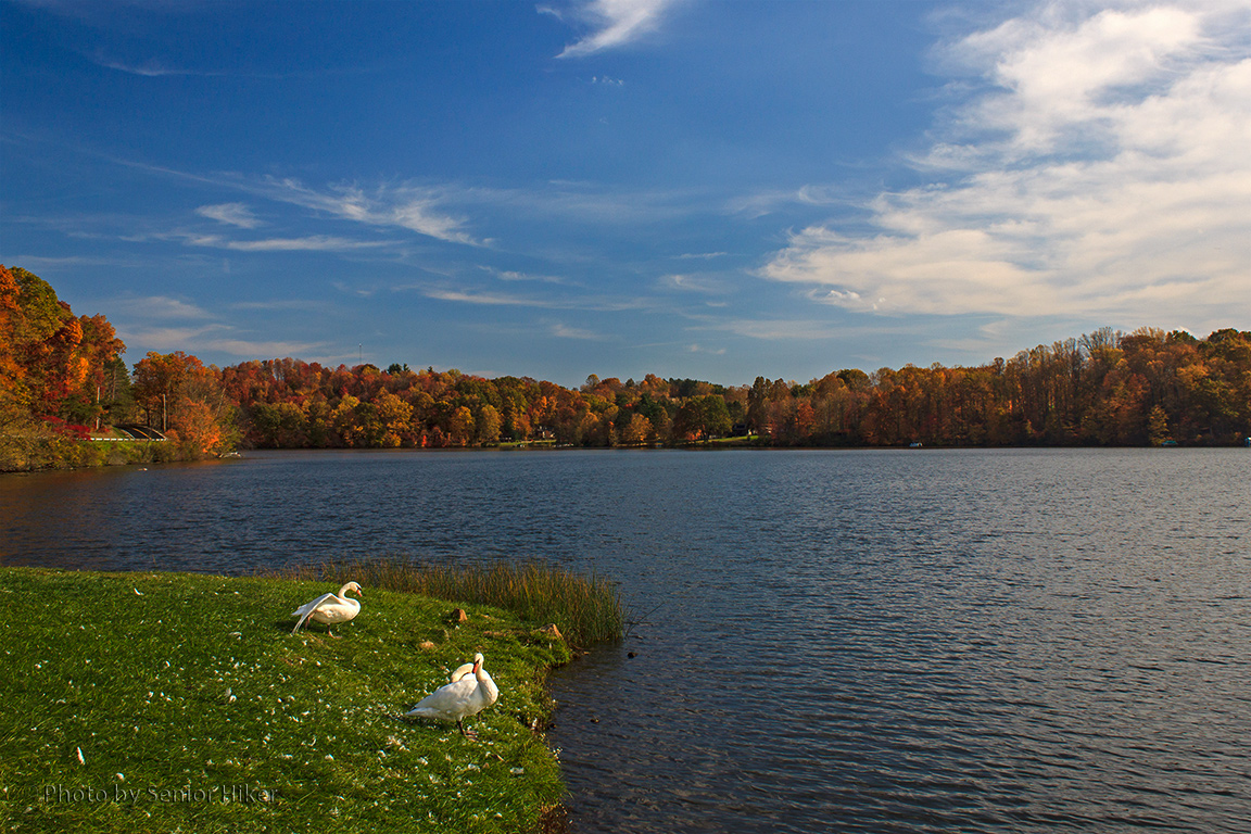 Photo Gallery Village of Lakeview